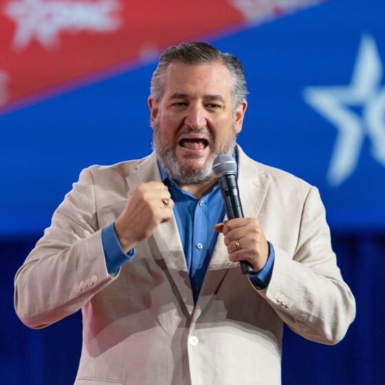 “Bestselling author” Ted Cruz just made a very big announcement and literally nobody gives AF