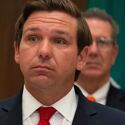 Ron “Don’t Say Gay” DeSantis reaches new level of absurdity with his war on Big Insect™