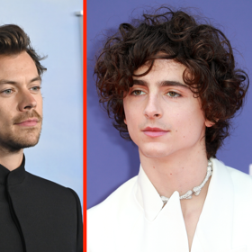We tried to get ChatGPT to write a smutty romance starring Timothée Chalamet & Harry Styles & here’s what happened