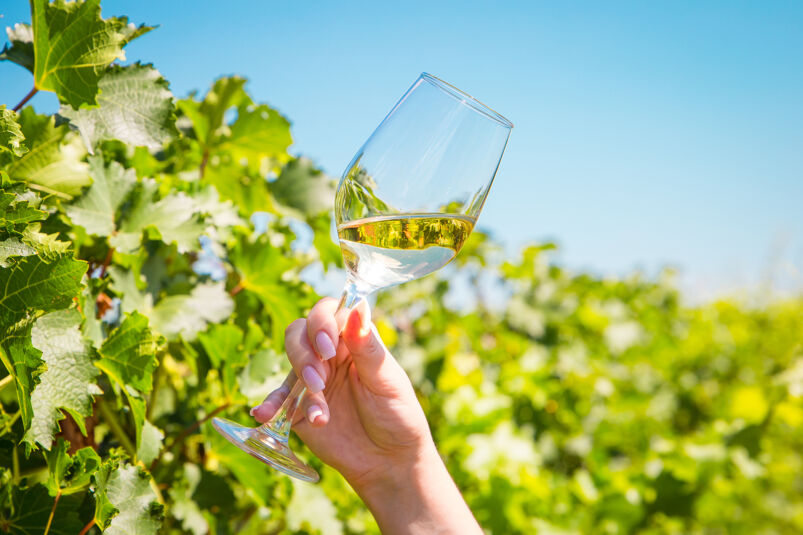 A woman holding a glass of white wine up against a blue sky