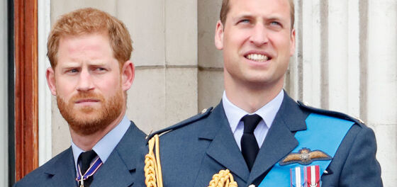 Prince Harry & Prince William can’t even agree on their opinion about “paranoid” Princess Diana