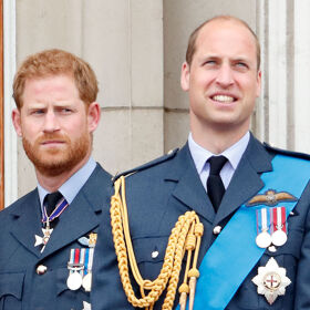 Prince Harry & Prince William can’t even agree on their opinion about “paranoid” Princess Diana