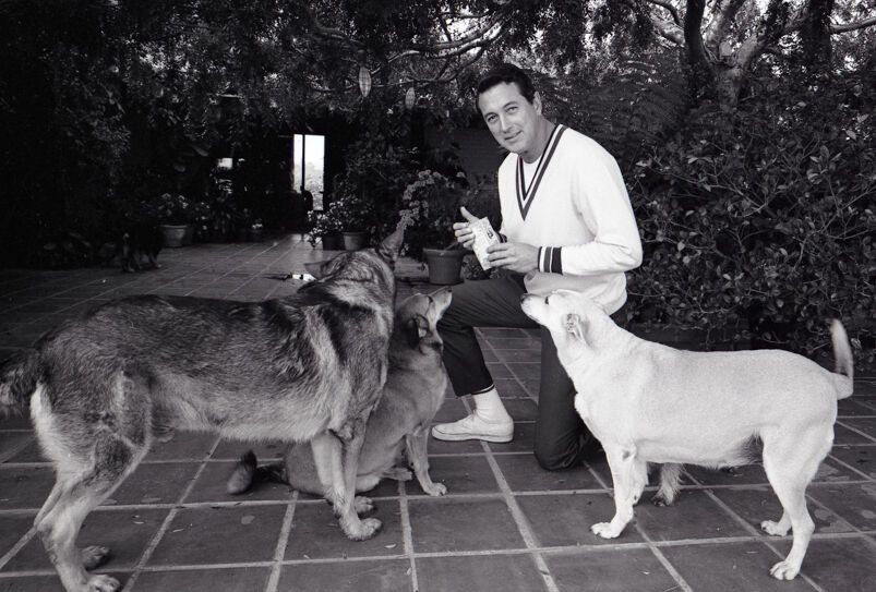 Rock Hudson and his dogs pictured at his villa in Hollywood, 1967