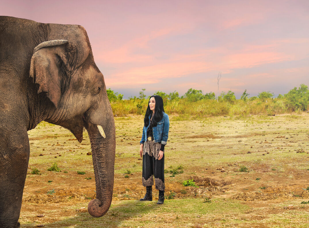 Kavaan the elephant and Cher of the Smithsonian documentary Cher & the Loneliest Elephant on Paramount+. Photo courtesy of Zoobs Ansari/Smithsonian 2021 Paramount+