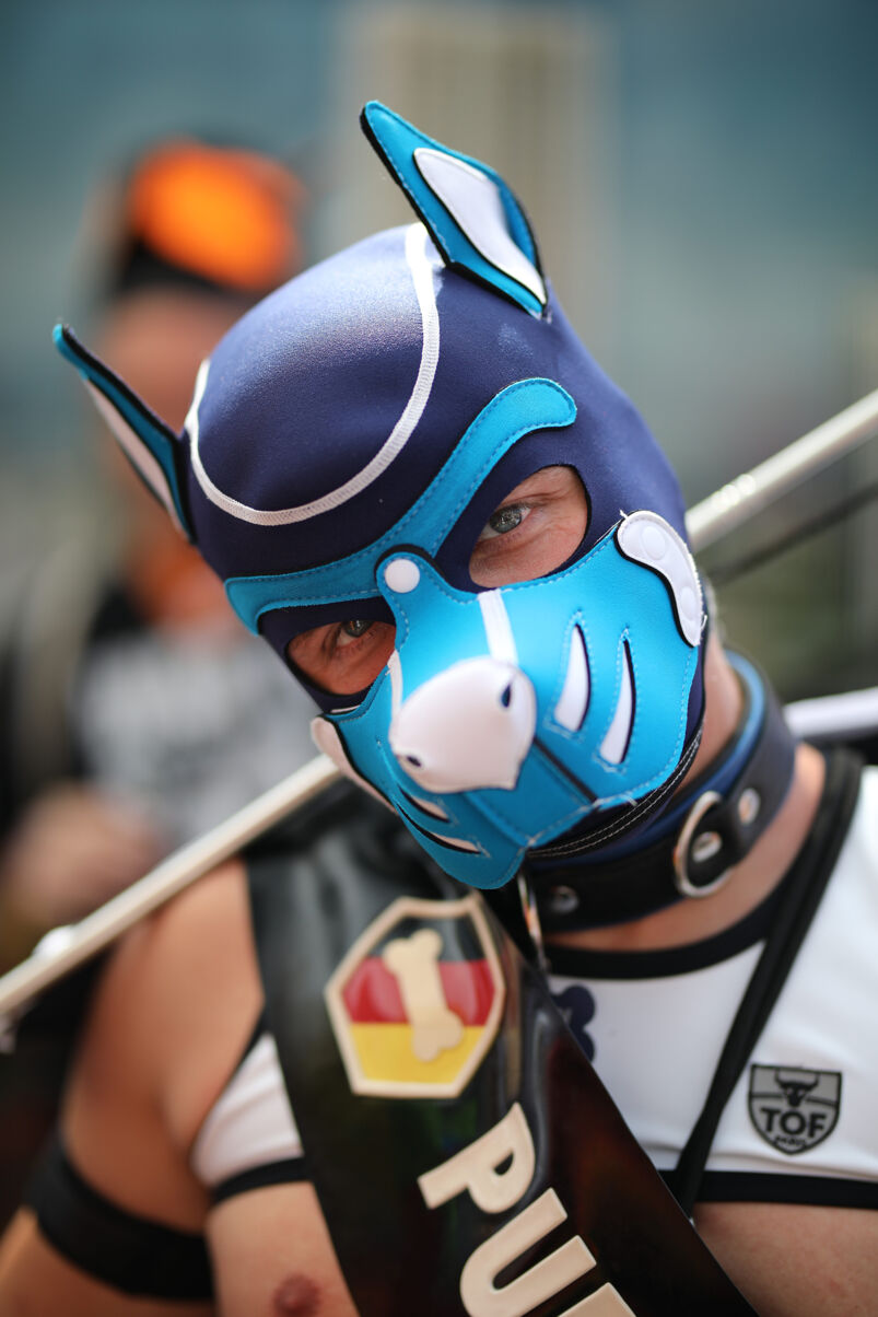 A man with blue eyes wearing a blue pup mask. 