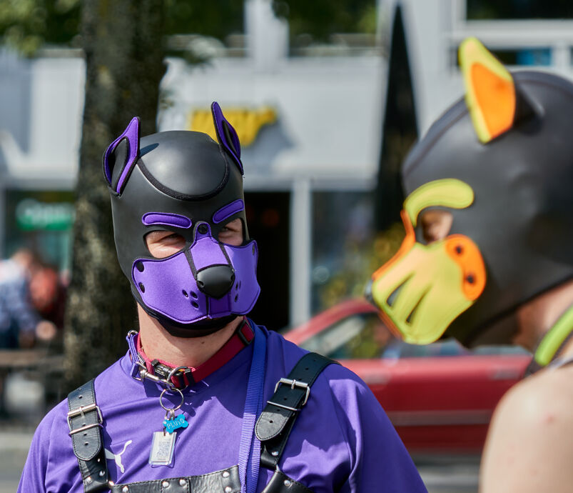 a man with a purple shirt and purple pup mask staring at a man with a yellow pup mask.