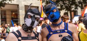 Get to know gay pups: A unique subculture within the leather community