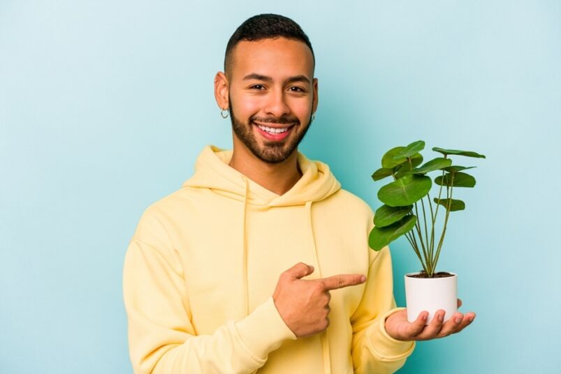 Smiling man pointing to houseplant
