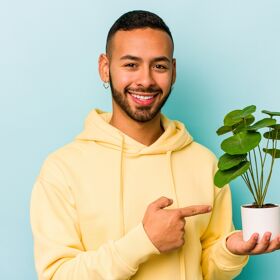 The internet is abloom with hilarious posts about gays and their houseplants