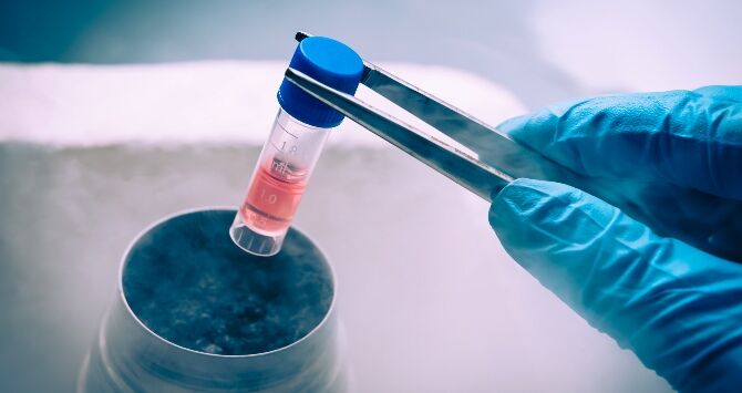 Sixth patient cured of HIV, but this one's different from past cases & here's why... - Vimarsana News