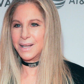 Barbra Streisand has something to say about Trump selling mugshot merchandise