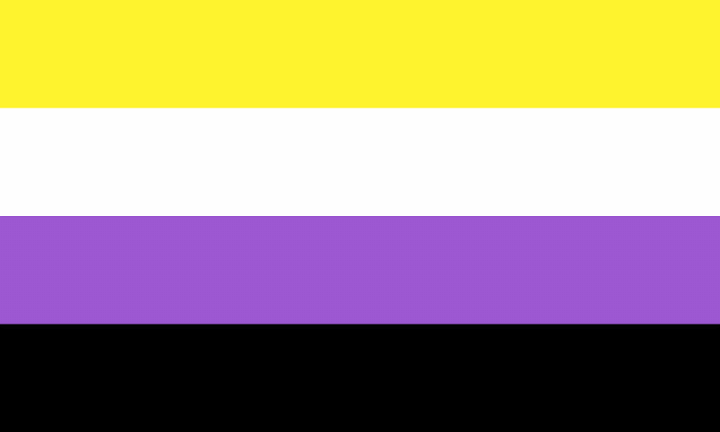 The nonbinary/enby pride flag consisting of yellow, white, purple, and black stripes