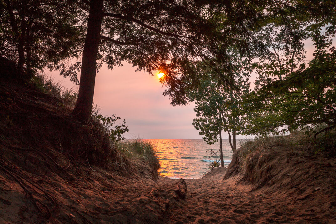 A view of the sand leading to the sea with trees above at Saugatuck. 