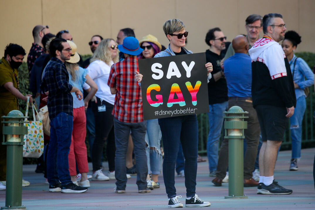 "Don't Say Gay" protests