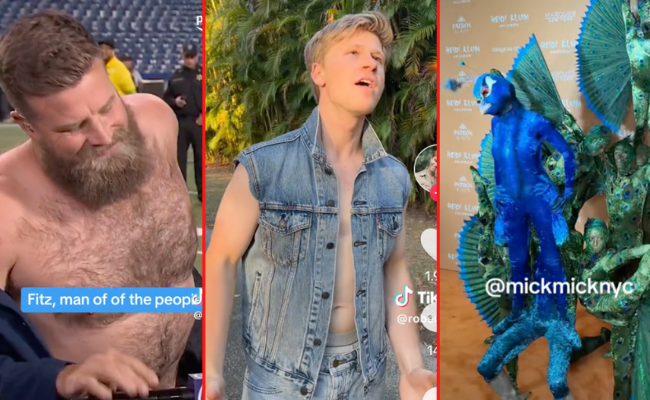 Heidi Klum's Halloween fantasy, Robert Irwin's musical debut, & Austin Wolf's body count - Vimarsana News