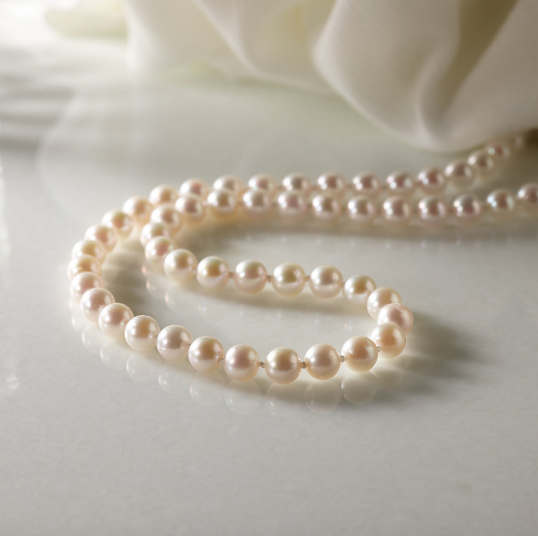 Shane Co. Akoya Cultured Pearl Necklace.