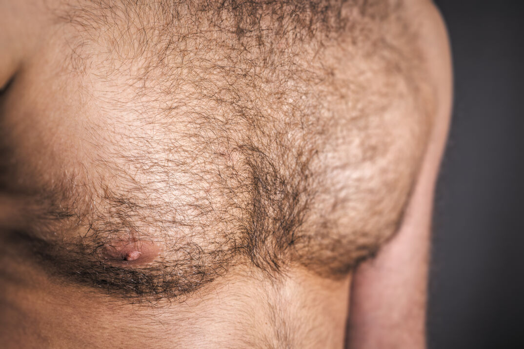 A close up of a man's muscular hairy chest, focusing on the pecs, with a trail of hair leading down to where the image cuts off. The man stands in front of a gray background out of focus.
