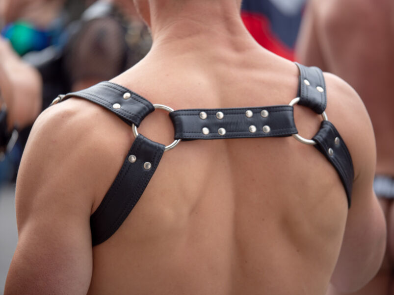 The back of a torso with a leather harness.