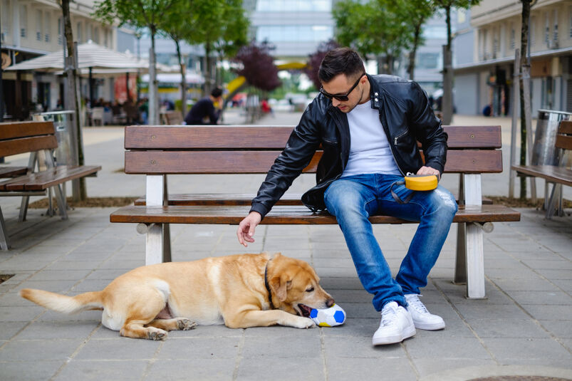 Man dressed in black jacket with white t-shirt and blue jeans trying to get his leashed dog to listen to him.
