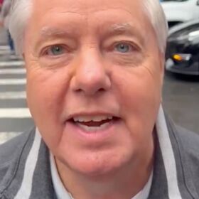 Lindsey Graham hot-footed it to New York for the most Lindsey Graham of reasons