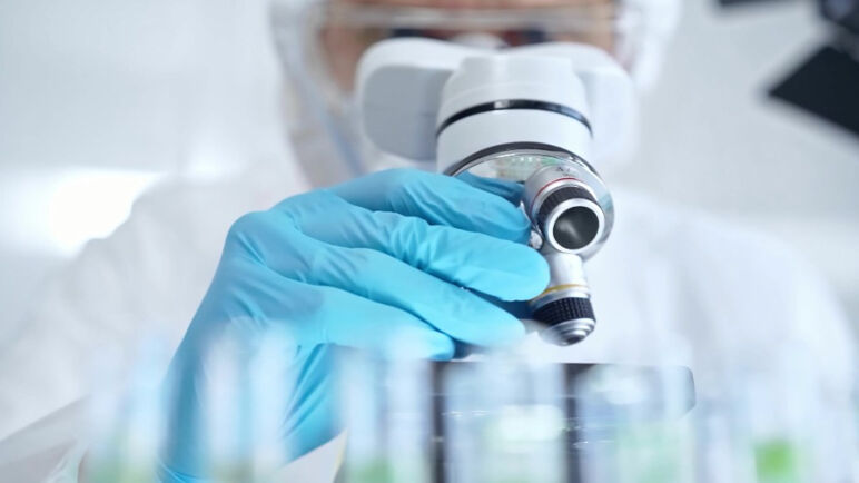 A scientist looks down a microscope