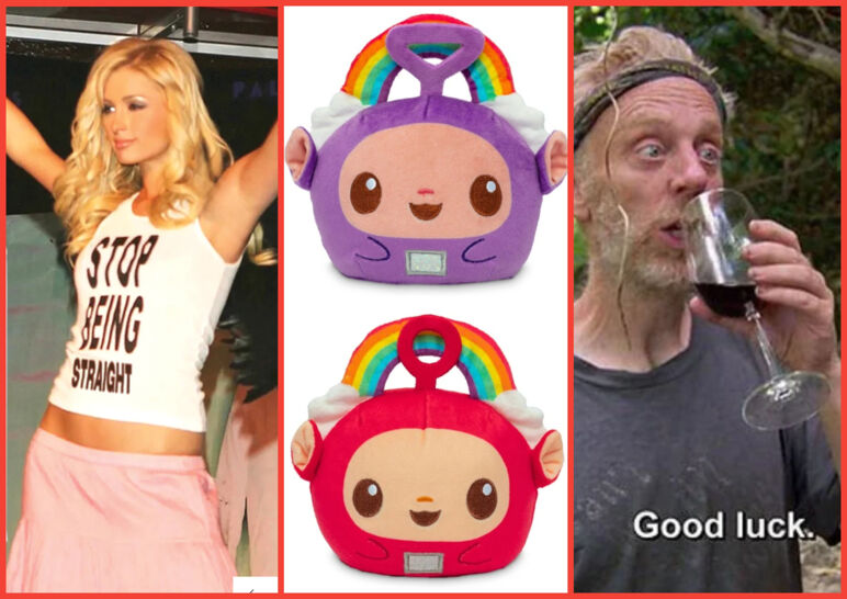 Three-panel image. From left to right: Paris Hilton wearing a "Stop Being Straight" tank top; purple and red Teletubbies plushies pictured with a rainbow over their heads; a screenshot from "Survivor" of Mike White drinking wine.