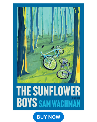 The Sunflower Boys book cover